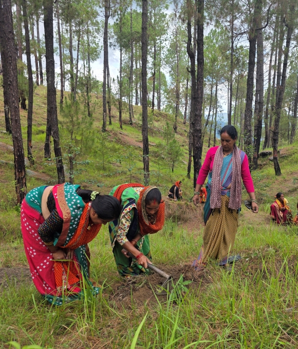 Natural Resource Management