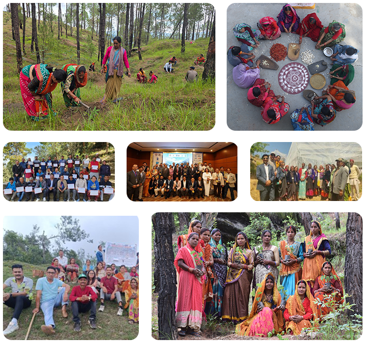 Natural Resource Management